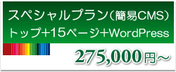 スペシャルプラン13ページ+更新ページ+ブログ　250,000円～