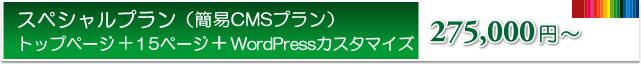 スタンダードプラン　10ページ+ブログ　200,000円